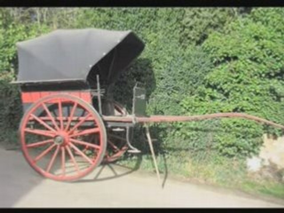 Des attelage aux enchères