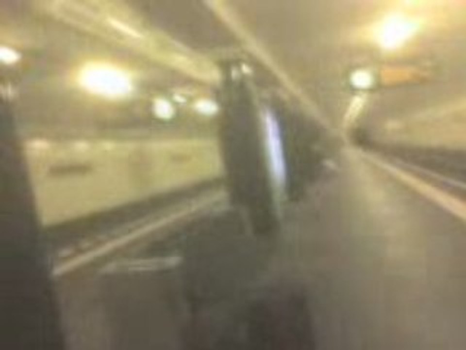 La faune du matin métro Berlin