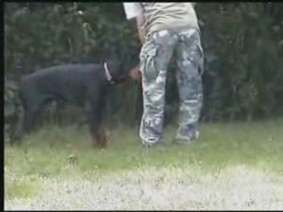 Daicko 5 mois entr obé