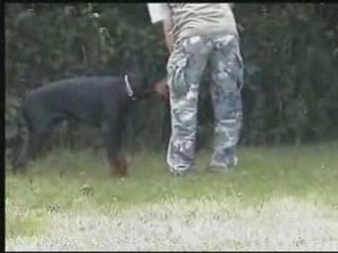 Daicko 5 mois entr obé