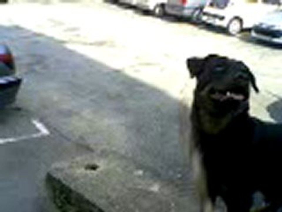 cassie agility rythmée