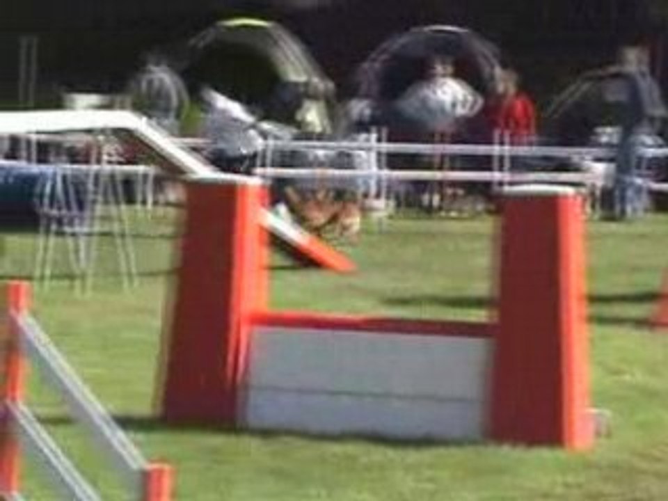 Agility (Open et Degrés de Falck 14-09-2008)