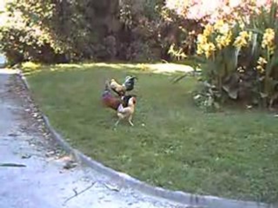 MARSEILLE LE PARC BORELY