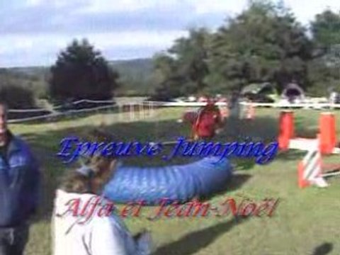 Agility (G.P.F. et Jumping de Falck 14-09-2008)
