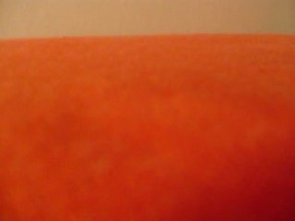 MOV05719