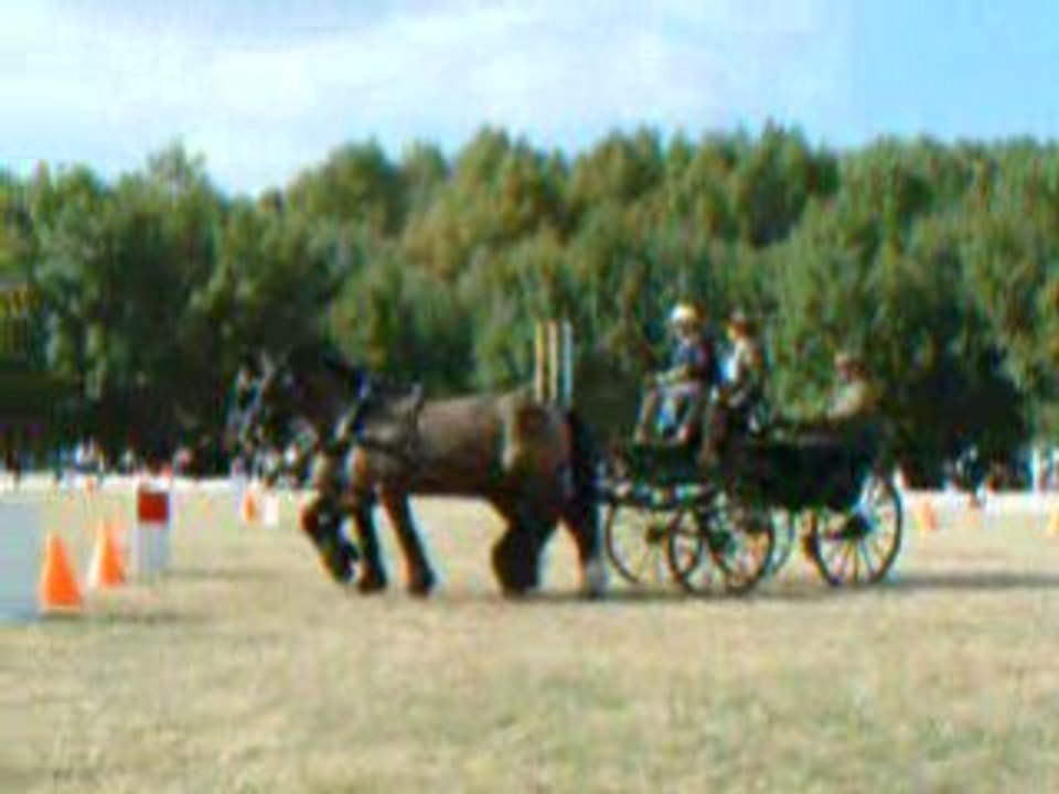 Mulassier- L.Mourin - Maniabilité Saumur CIA.[0431]