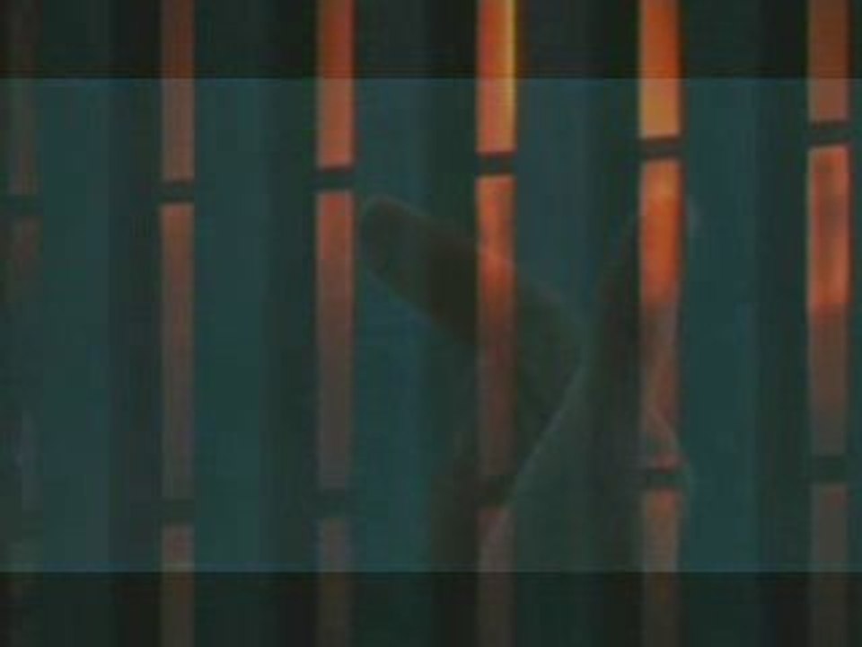 In This Twilight (alternate video)