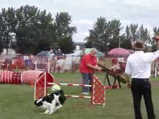 AAC National 2008 Tamy gambler dimanche agility