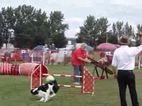 AAC National 2008 Tamy gambler dimanche agility