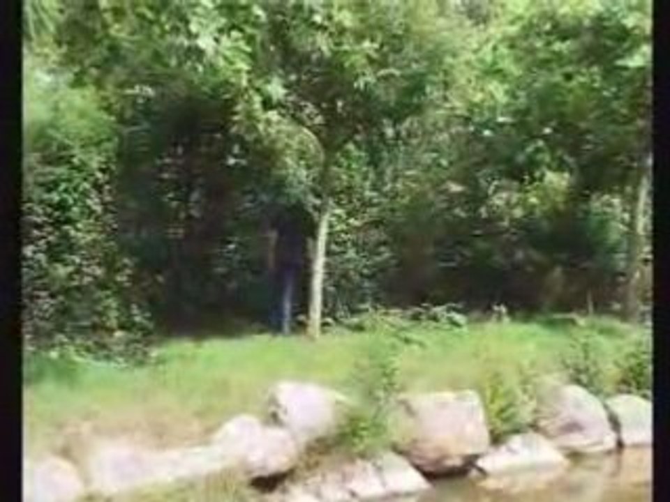 Philippe Tournaire - Parcours De Vie 2eme partie