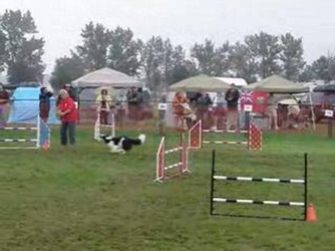 AAC National 2008 Tamy jumping dimanche agility