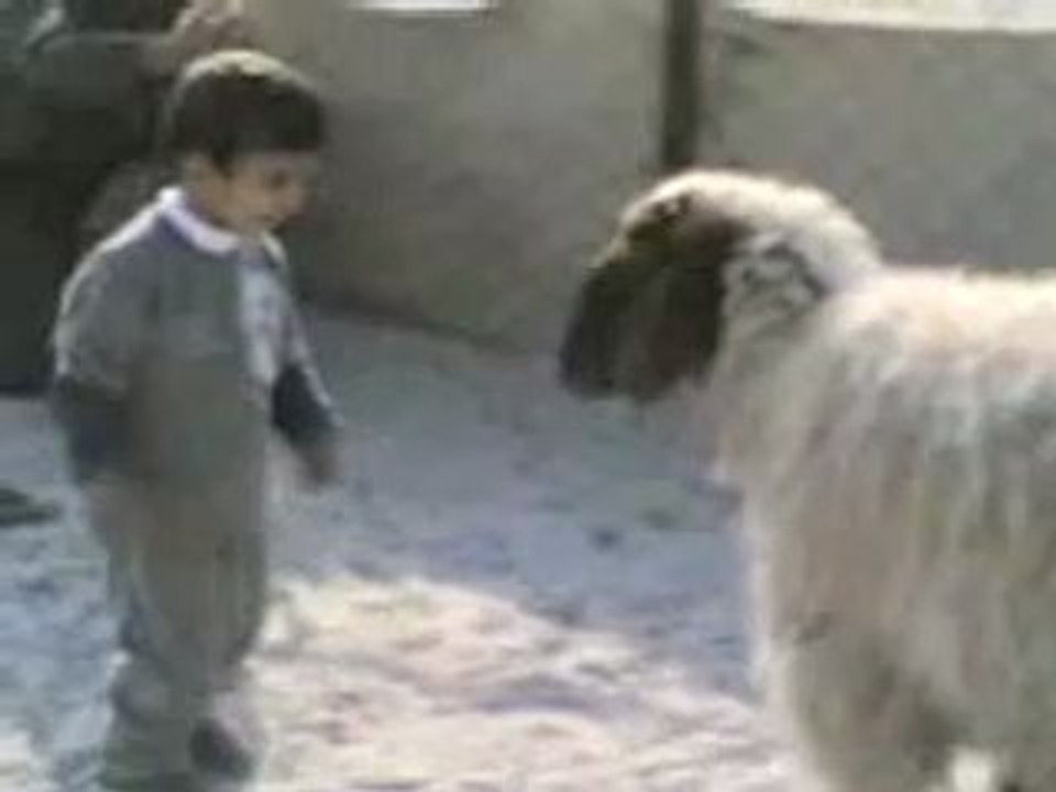 tunisie 2008 gag fun 3allouch