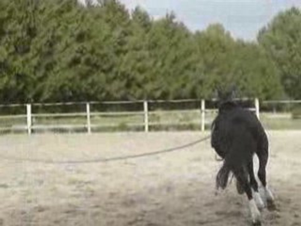 longe main droite