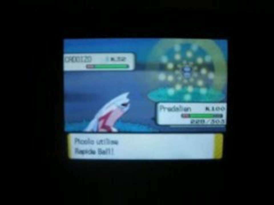 Cadoizo shiney