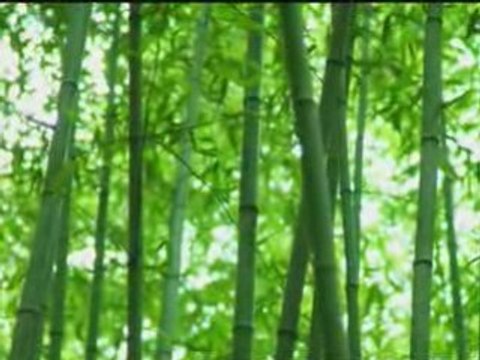 Lotte - Sasha -kumihimo _ Horikita Maki