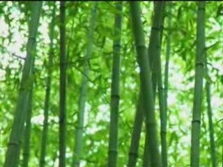 Lotte - Sasha -kumihimo _ Horikita Maki