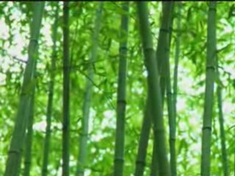 Lotte - Sasha -kumihimo _ Horikita Maki