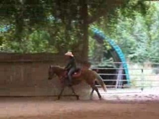 Photo 076