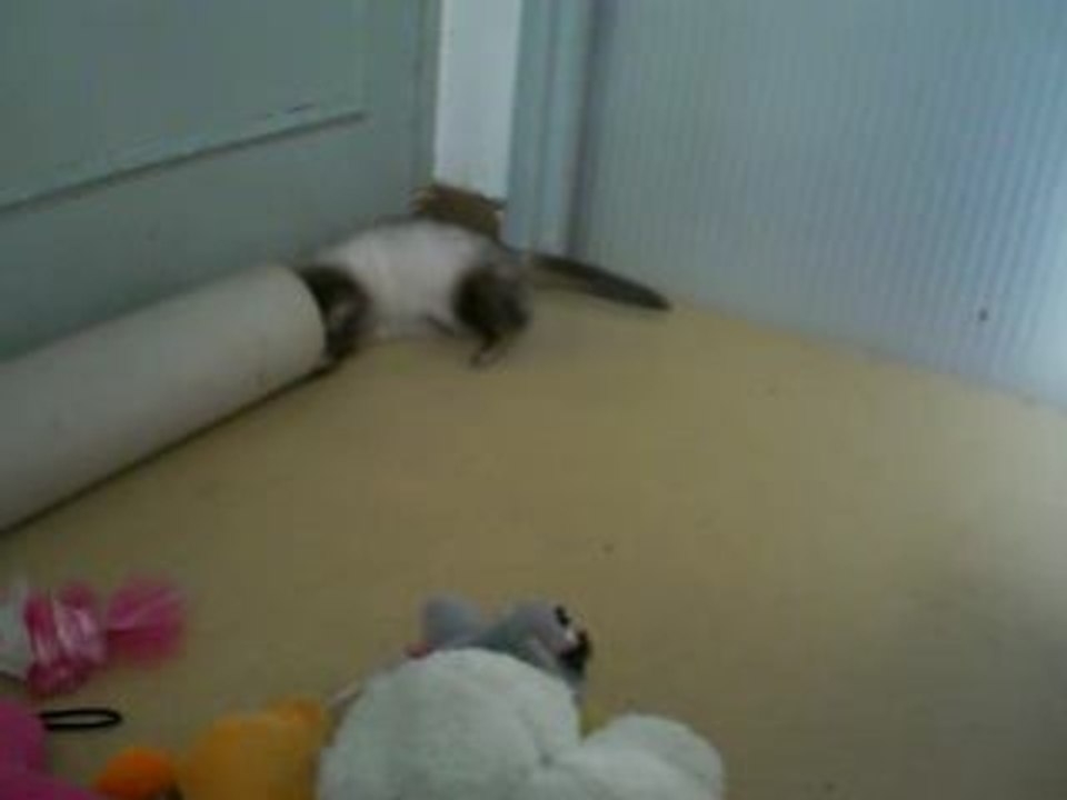 Dickson qui s'amuse