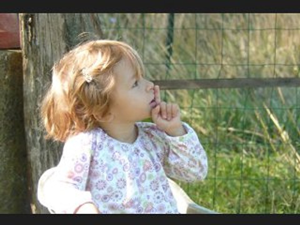 VIDEO CELIA 2008