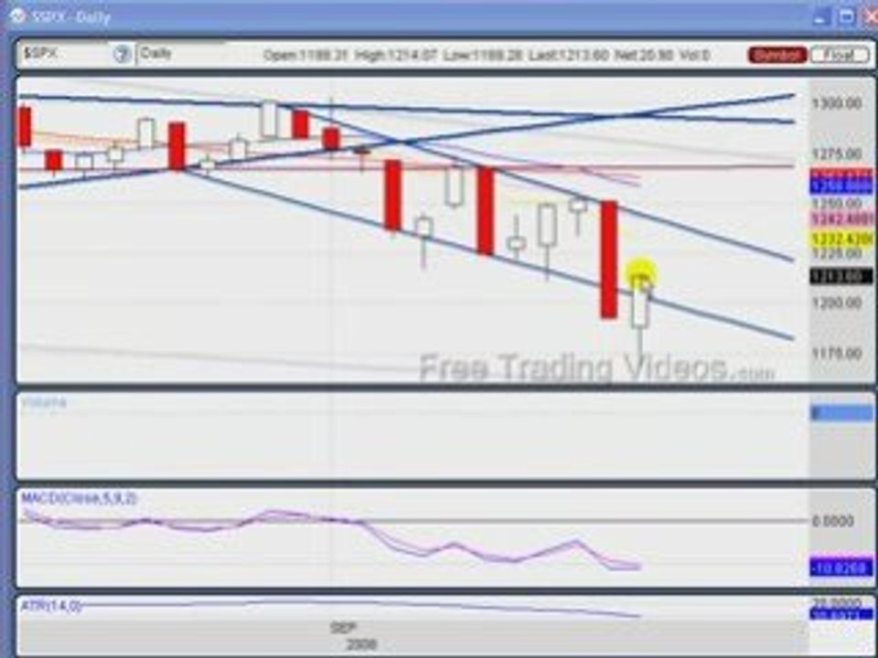 Sept. 16, 08 :: Bullish?