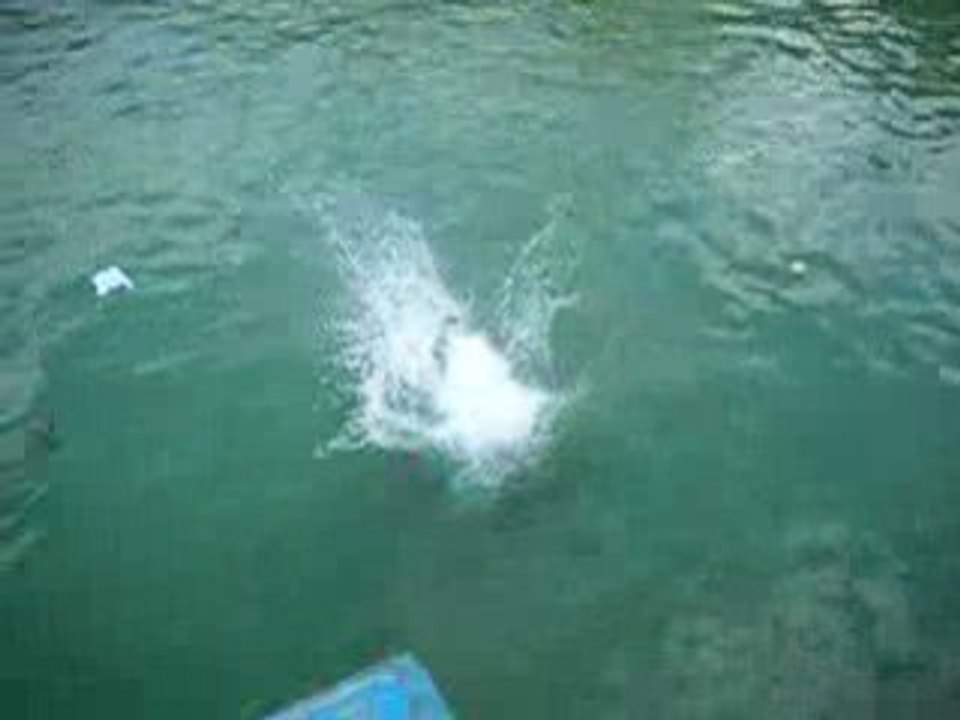 DSCN2124