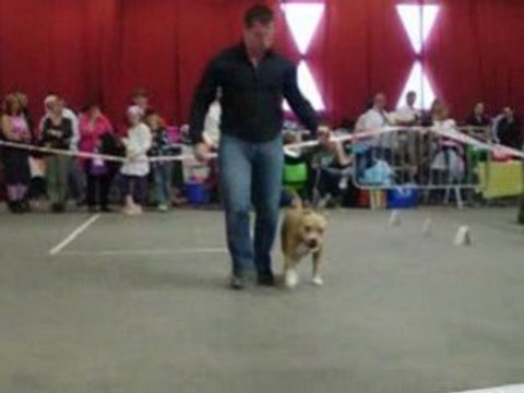 C'prisca de la maison d'este 11mois