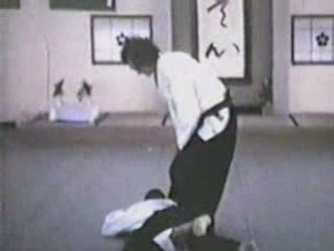 Aikido with Steven Seagal