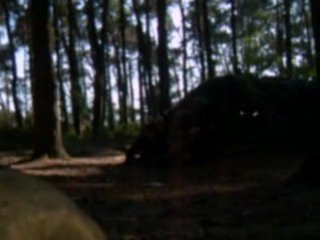 Air Soft Team ClassCommandeur II