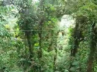 tyrolienne Costa Rica