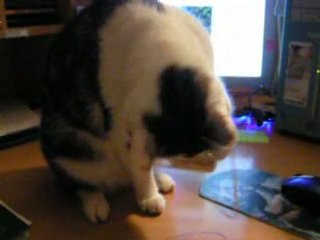 Nénette joue élastique