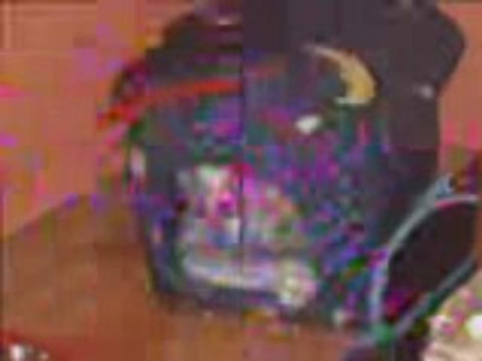 Dikens video1234