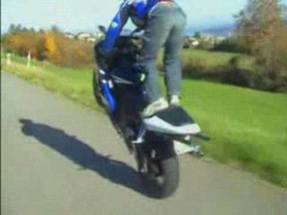 mol moteur