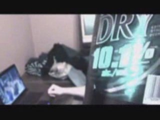 Party Marie-Ève ( Fin 2007 )