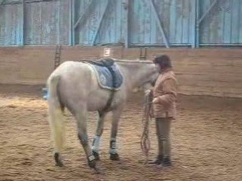 Start up septembre 2008 déplacement hanches 2