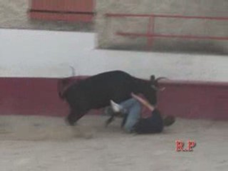 MANADE POUJOL