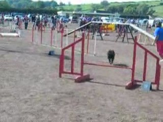 Concours de saint léonard GPF tiféne
