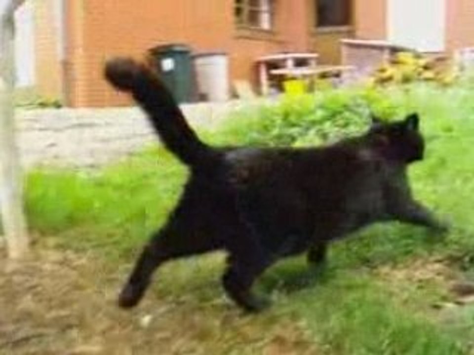 Afsluiting gaalmarden