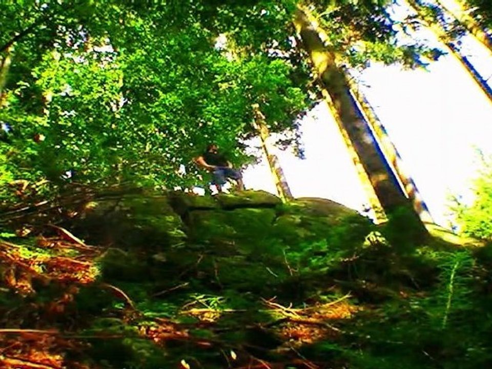 Freebord - Mountains-2008