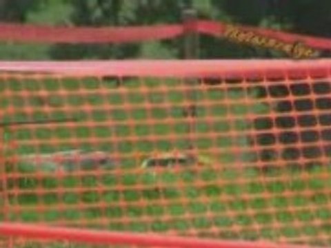 Rallye du haut lignon