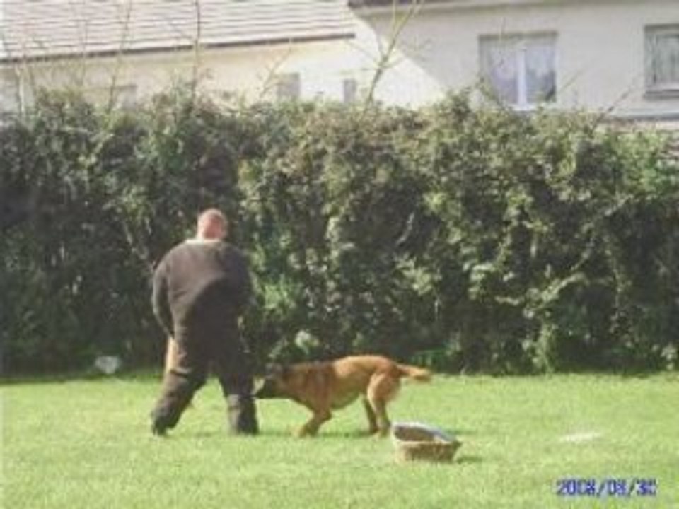 Véron