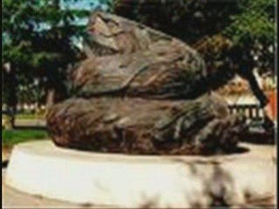 LE BIG JOURNAL n°0 Sortie mondiale le 11 novembre!