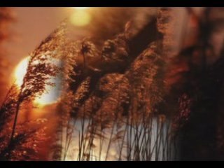 OMAR AKRAM   Run away with me