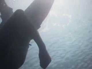 Plongé au pays basque