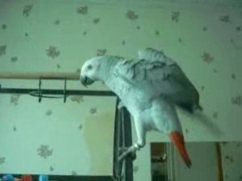 kimy08