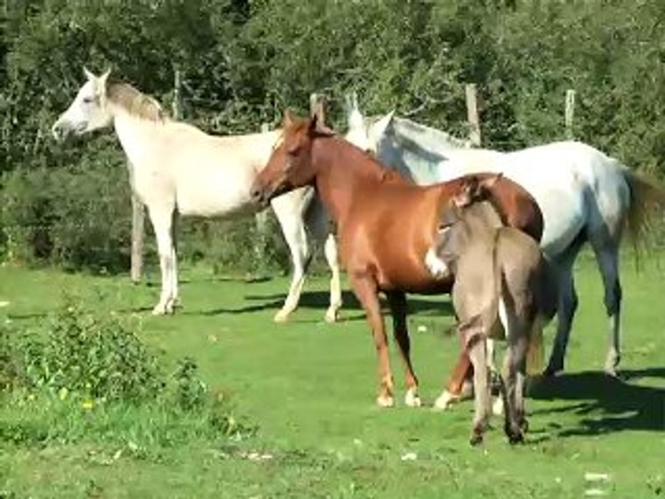 nastassaja septembre 2008
