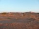 Le Fil Rouge de Sossuvlei - Desert du Namib - Namibie