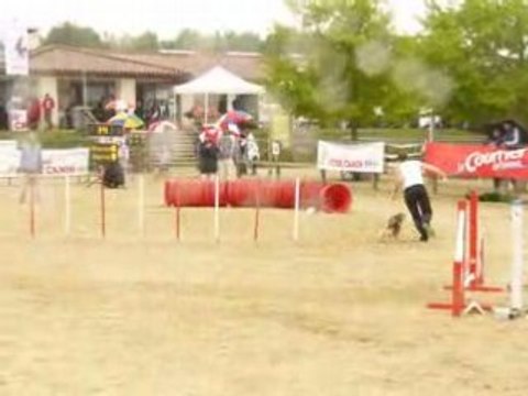 Venise masters agility 08