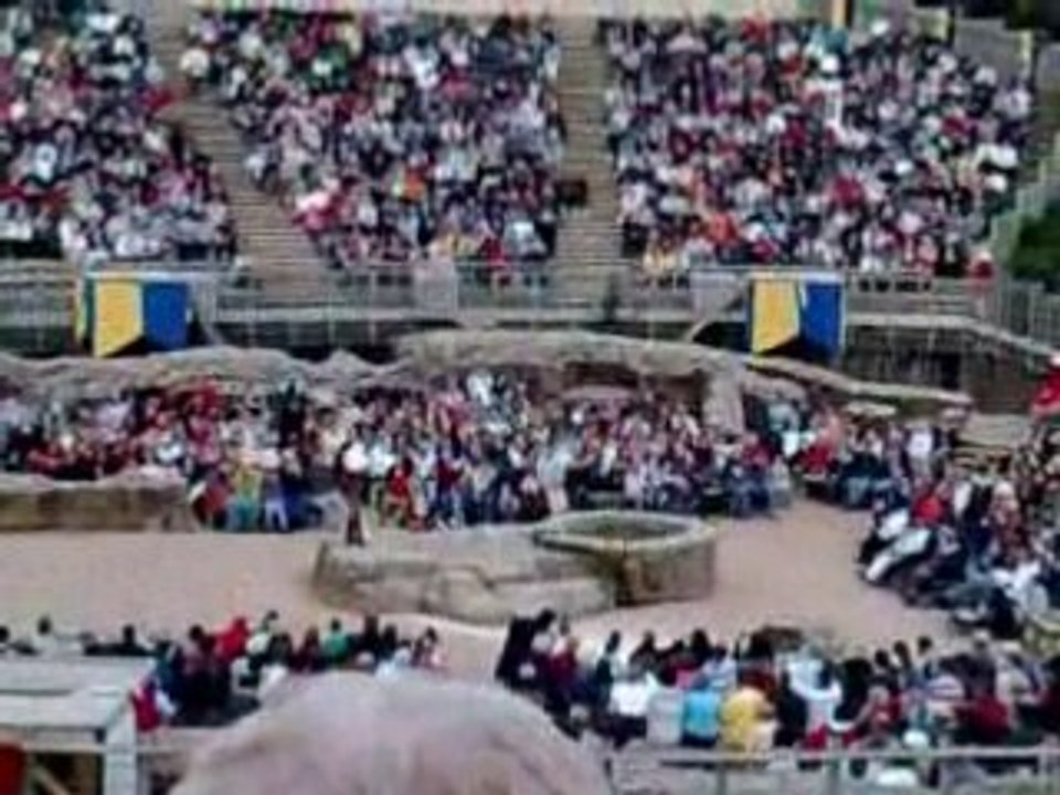 Le Bal des Oiseaux Fantomes 5 Puy du Fou