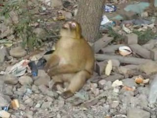 3e Vidéo mon voyage en Kabylie